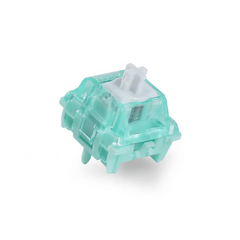 Magnetic Switches x 65