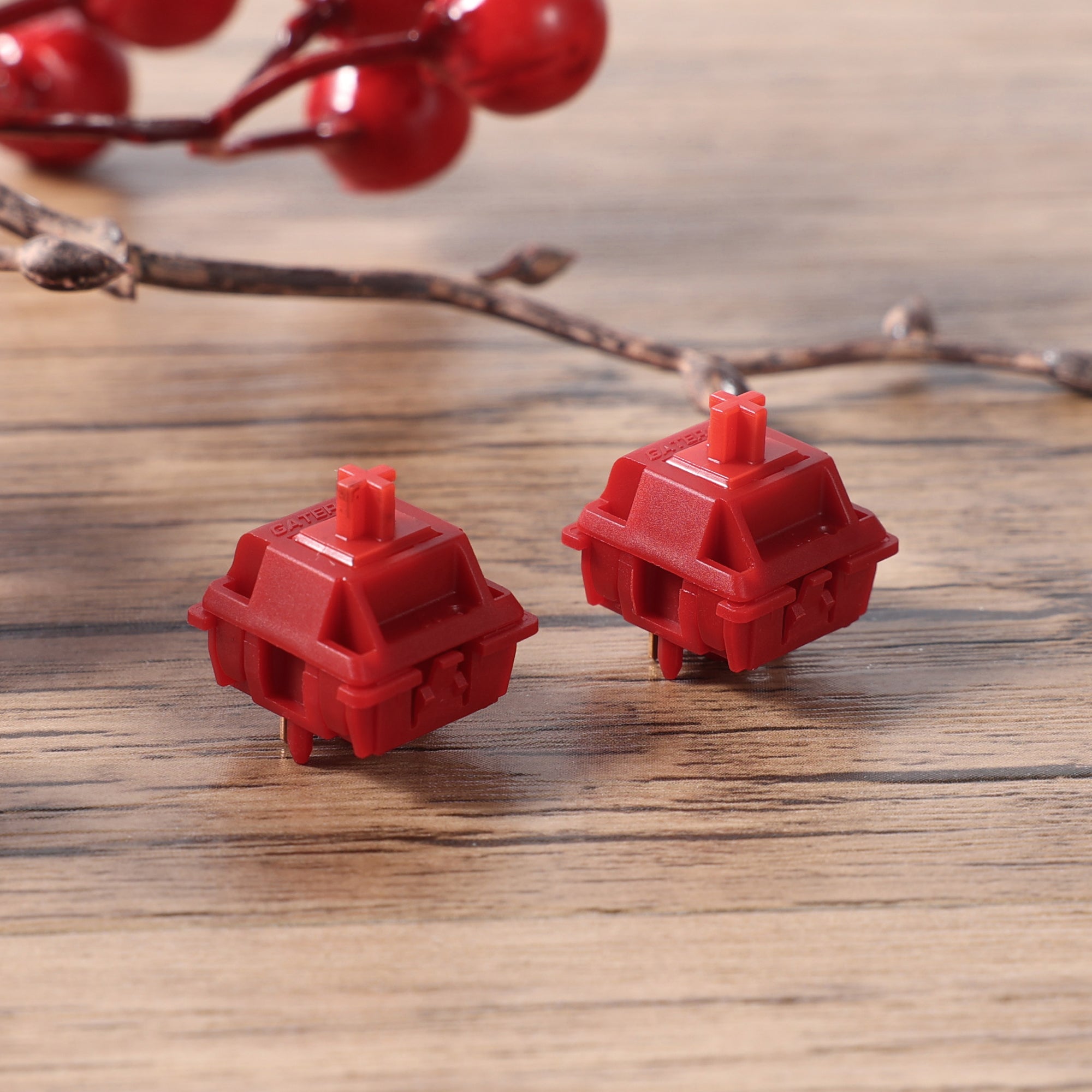 Type R Switches Siliworks Type R tactile Switches – KBDfans® Mechanical Keyboards Store
