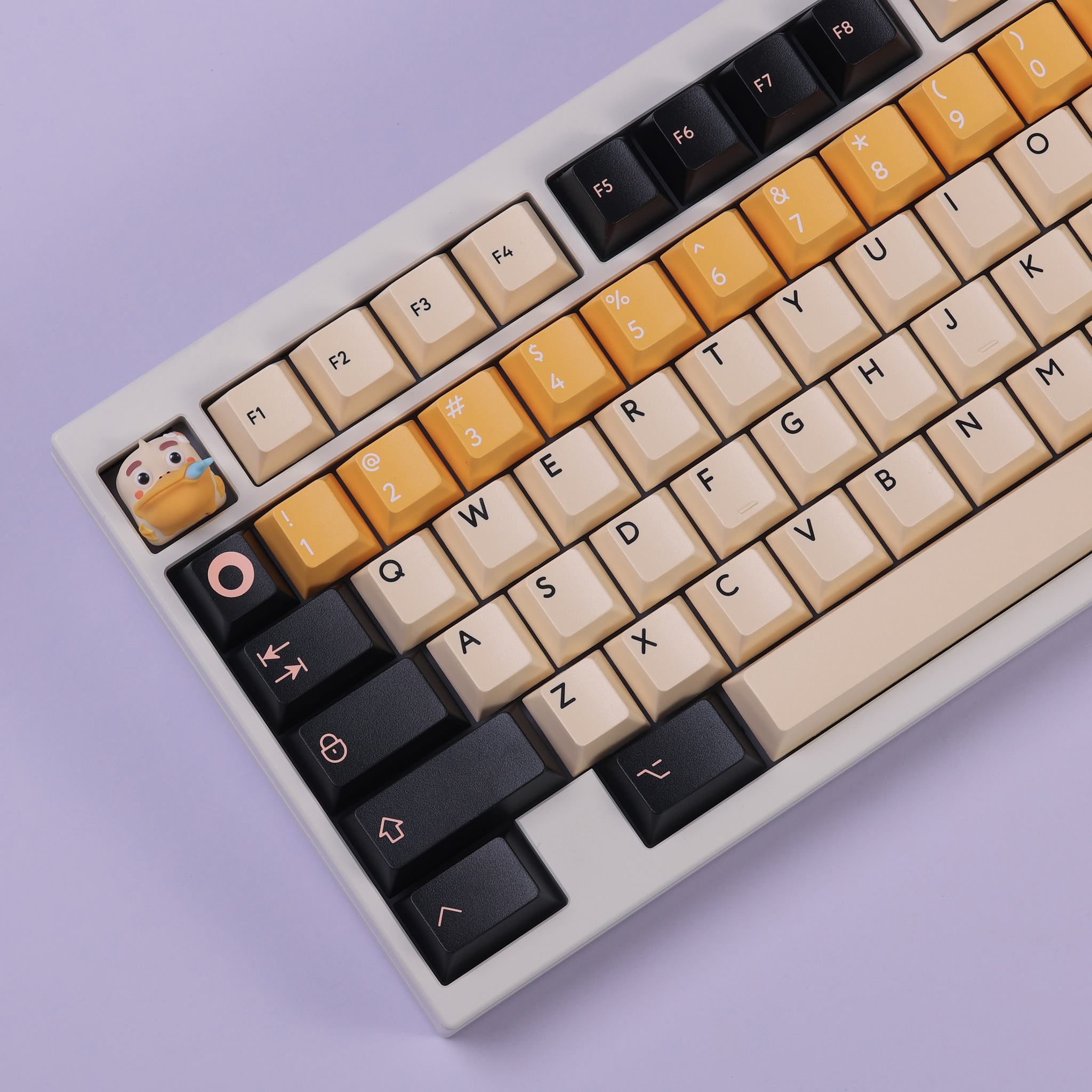 PBTfans Pelican – KBDfans® Mechanical Keyboards Store