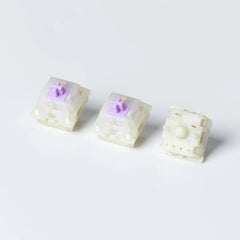 Switches x 50