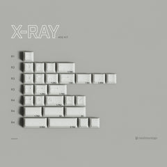PBTfans X-ray R3