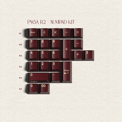 PBTfans Pyga R2