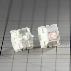 Switches x 100