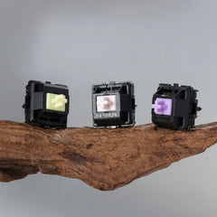 Switches x 100