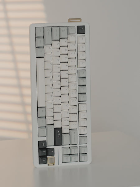 Ready To Use GT-80 Hotswap version with PBTfans Mist – KBDfans